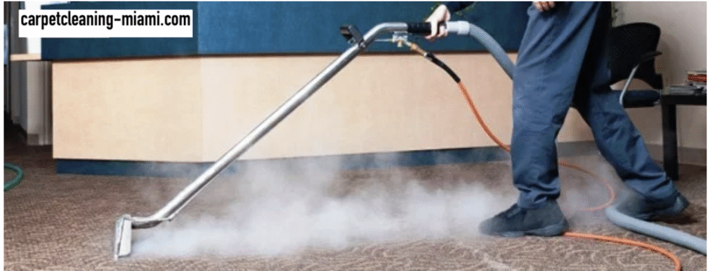 commercial carpet cleaning service miami
