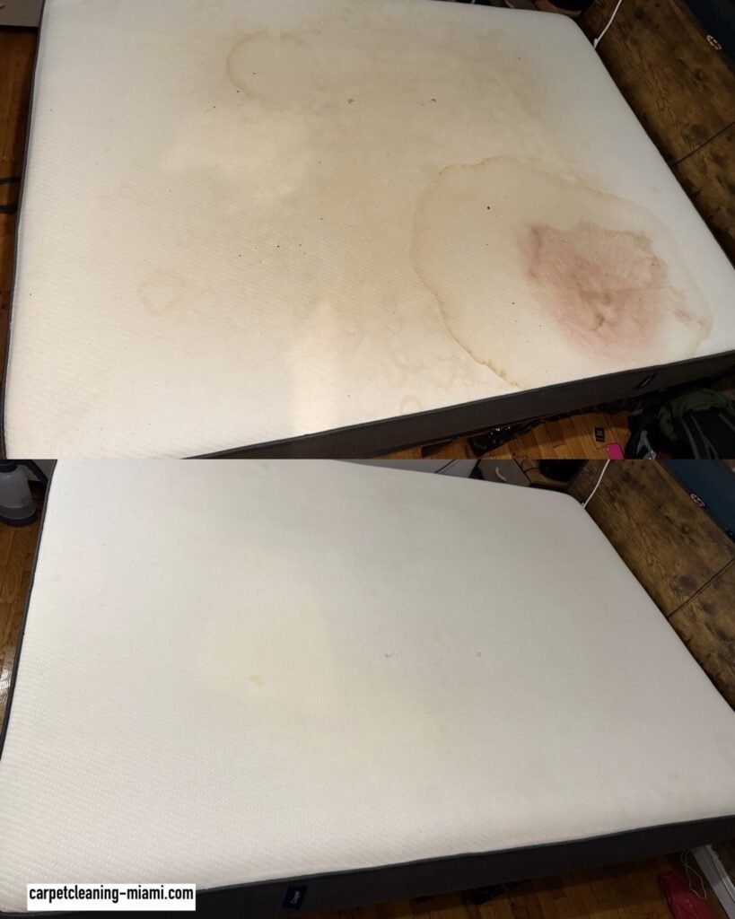 mattress cleaning service miami